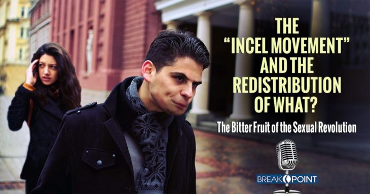 incel-movement-breakpoint.org_-1024x538-1